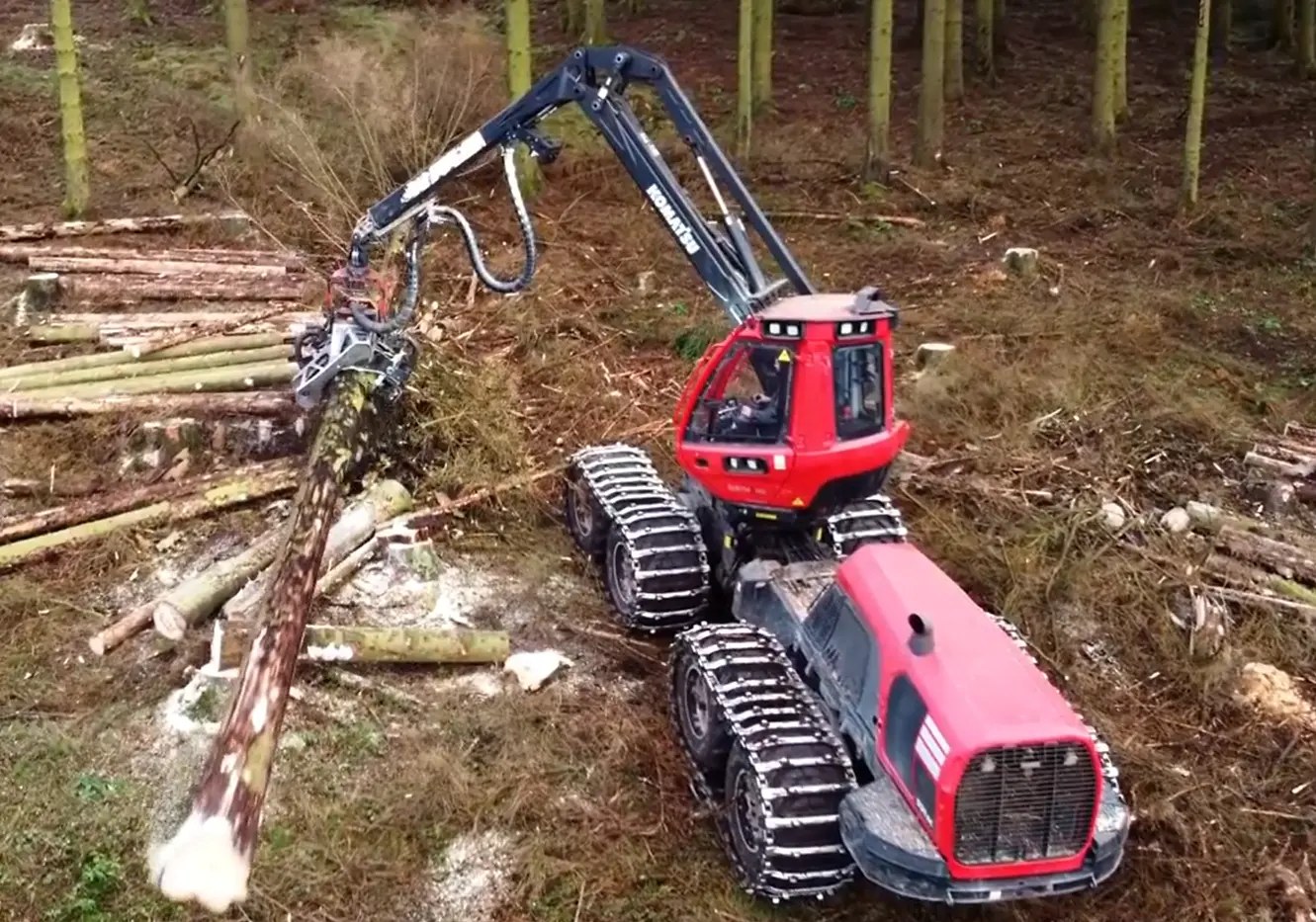 Timber harvesting