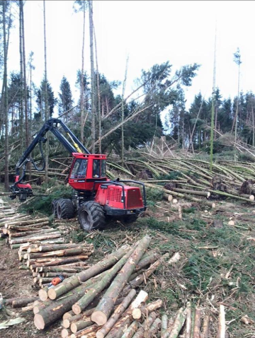 Storm windblow clearance